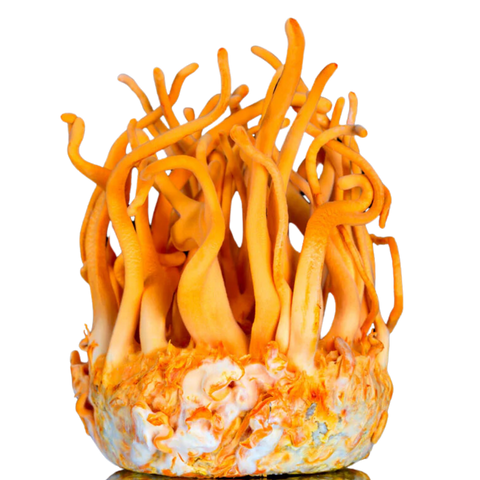 ingredients_item