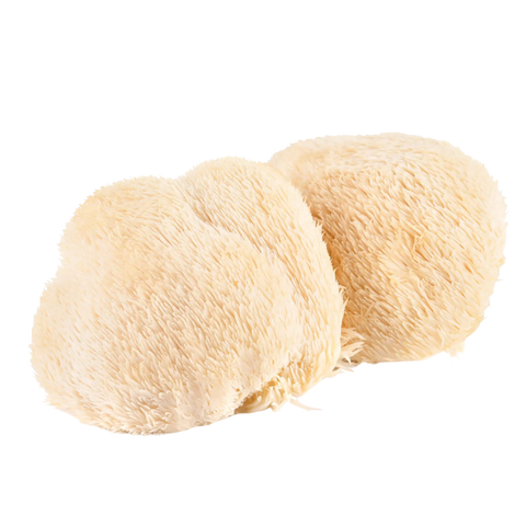 ingredients_item