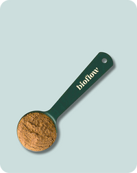 Stainless scoop