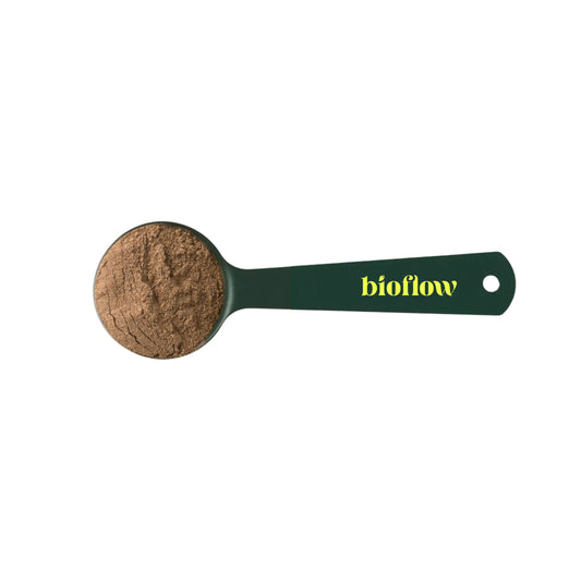 Stainless Steel Scoop